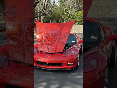 An Affordable Beast Nobody Talks About